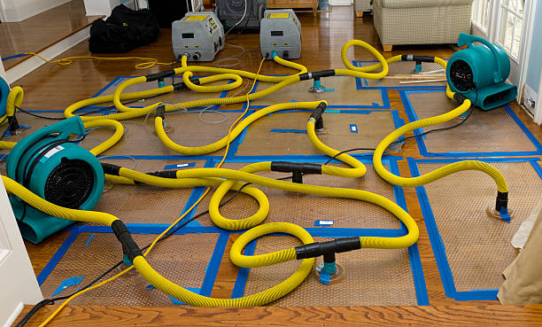 Professional Flood Damage Restoration technician working in Russellville, TN